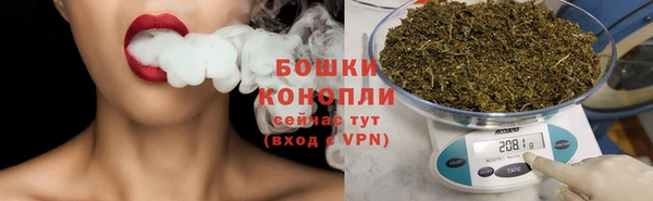 гашик Нягань