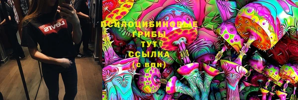 трава Осташков