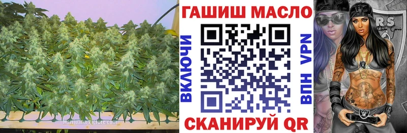 дарнет шоп  Пошехонье  blacksprut ССЫЛКА  ТГК вейп 