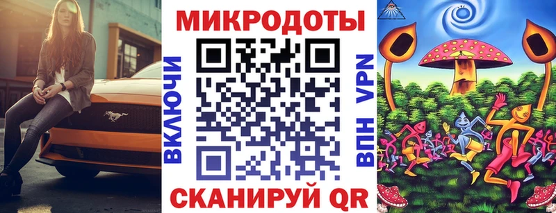 цены   Пошехонье  Псилоцибиновые грибы Psilocybe 